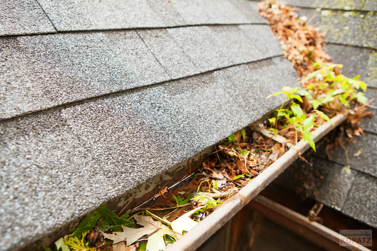 Dachrinnen-Reinigung